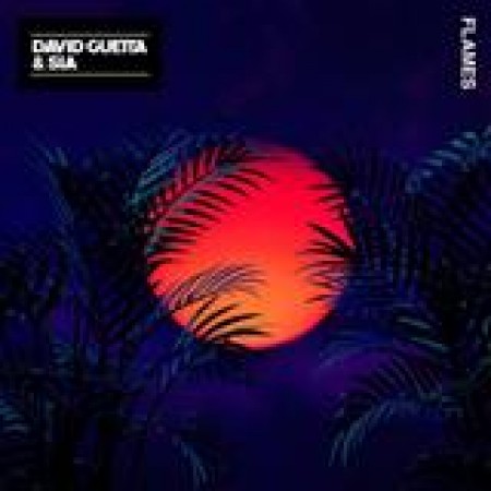 David Guetta Flames