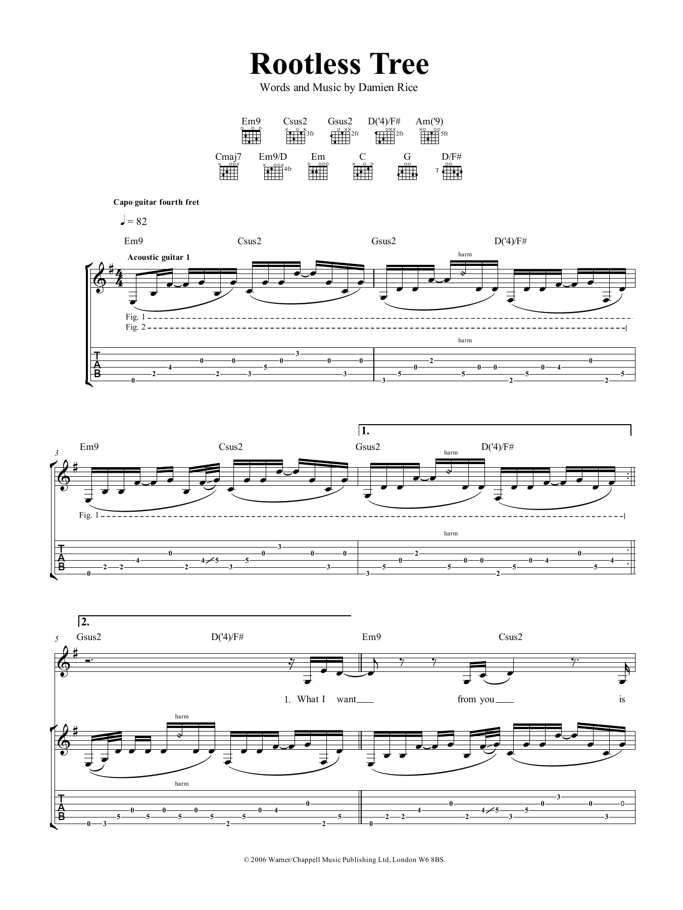 Download Damien Rice Rootless Tree Sheet Music and learn how to play Guitar Tab PDF digital score in minutes