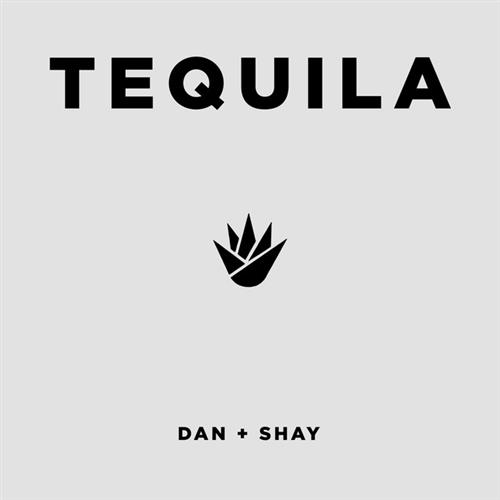 Dan + Shay album picture