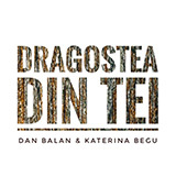 Download or print Dan Balan Dragostea Din Tei Sheet Music Printable PDF -page score for Pop / arranged Piano & Vocal SKU: 45653.