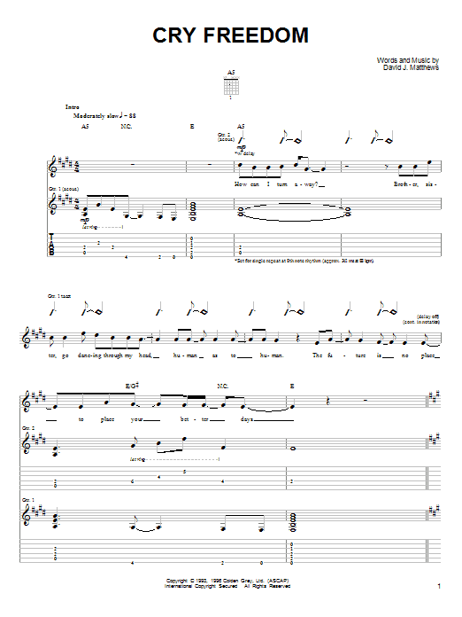 Download Dave Matthews & Tim Reynolds Cry Freedom Sheet Music and learn how to play Guitar Tab PDF digital score in minutes