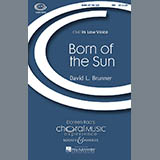Download or print David Brunner Born Of The Sun Sheet Music Printable PDF -page score for Concert / arranged TBB SKU: 69708.