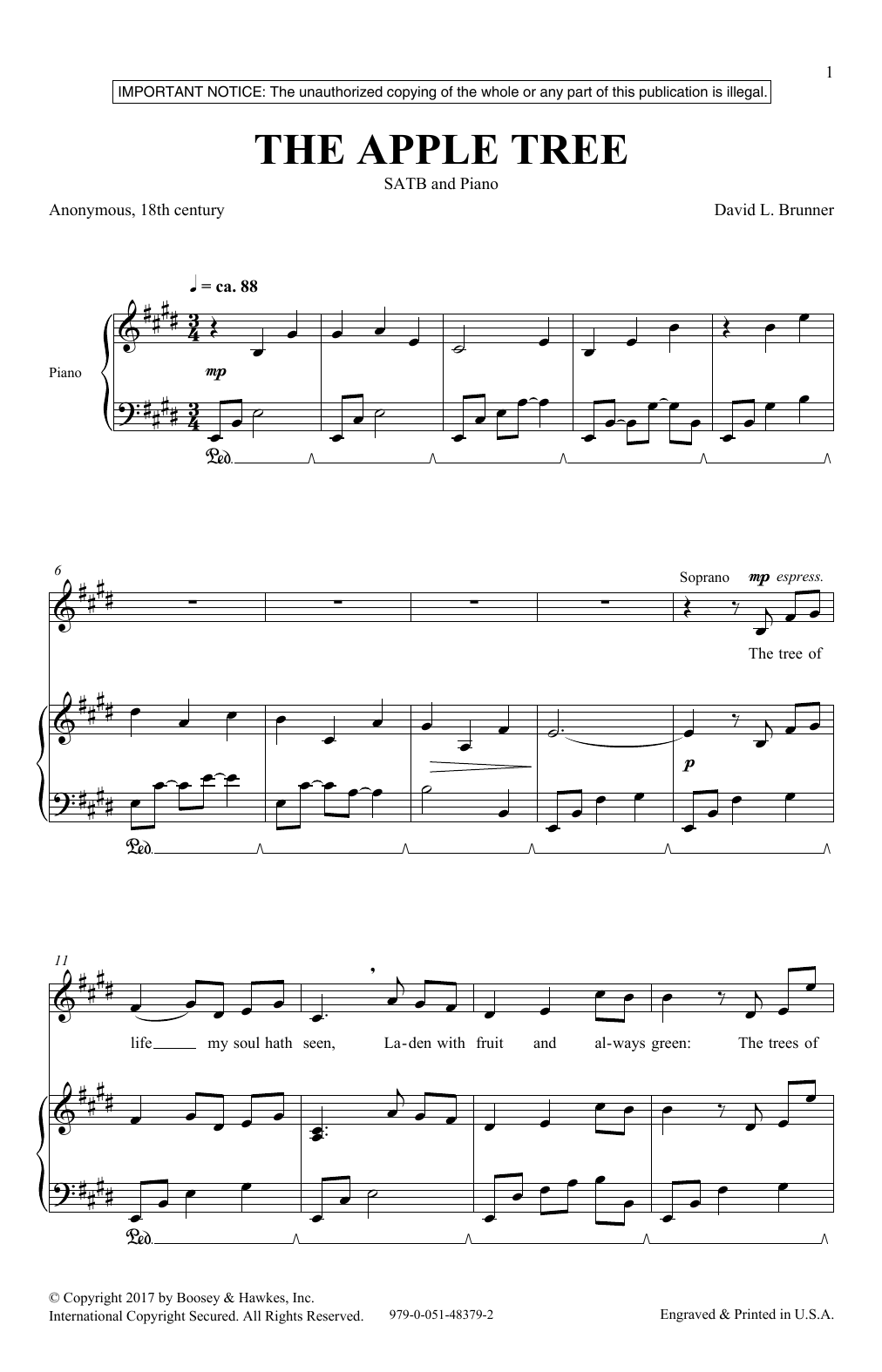 Download David Brunner The Apple Tree Sheet Music and learn how to play SATB PDF digital score in minutes