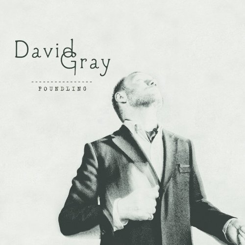 David Gray album picture