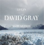 Download or print David Gray Nos Da Cariad Sheet Music Printable PDF -page score for Pop / arranged Piano, Vocal & Guitar SKU: 33861.