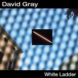 Download or print David Gray White Ladder Sheet Music Printable PDF -page score for Pop / arranged Piano, Vocal & Guitar SKU: 14608.