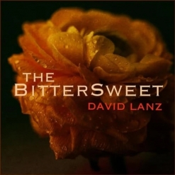 David Lanz album picture