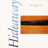 Download or print David Sanborn Carly's Song Sheet Music Printable PDF -page score for Jazz / arranged Alto Sax Transcription SKU: 1758511.