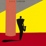 Download or print David Sanborn Straight To The Heart Sheet Music Printable PDF -page score for Jazz / arranged Alto Sax Transcription SKU: 1759135.