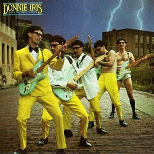Donnie Iris album picture