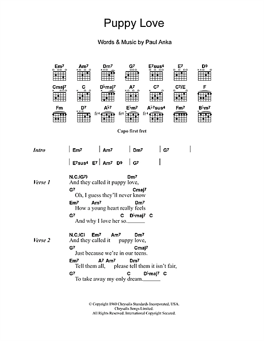 Download Donny Osmond Puppy Love Sheet Music and learn how to play Lyrics & Chords PDF digital score in minutes