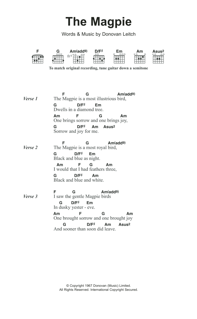 Download Donovan The Magpie Sheet Music and learn how to play Lyrics & Chords PDF digital score in minutes