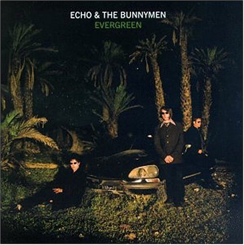 Echo & The Bunnymen album picture