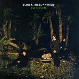 Download or print Echo & The Bunnymen Nothing Lasts Forever Sheet Music Printable PDF -page score for Rock / arranged Lyrics & Chords SKU: 106239.