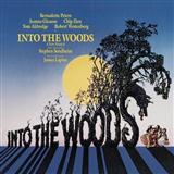 Download or print Ed Lojeski Into The Woods (Medley) Sheet Music Printable PDF -page score for Broadway / arranged SATB SKU: 93143.