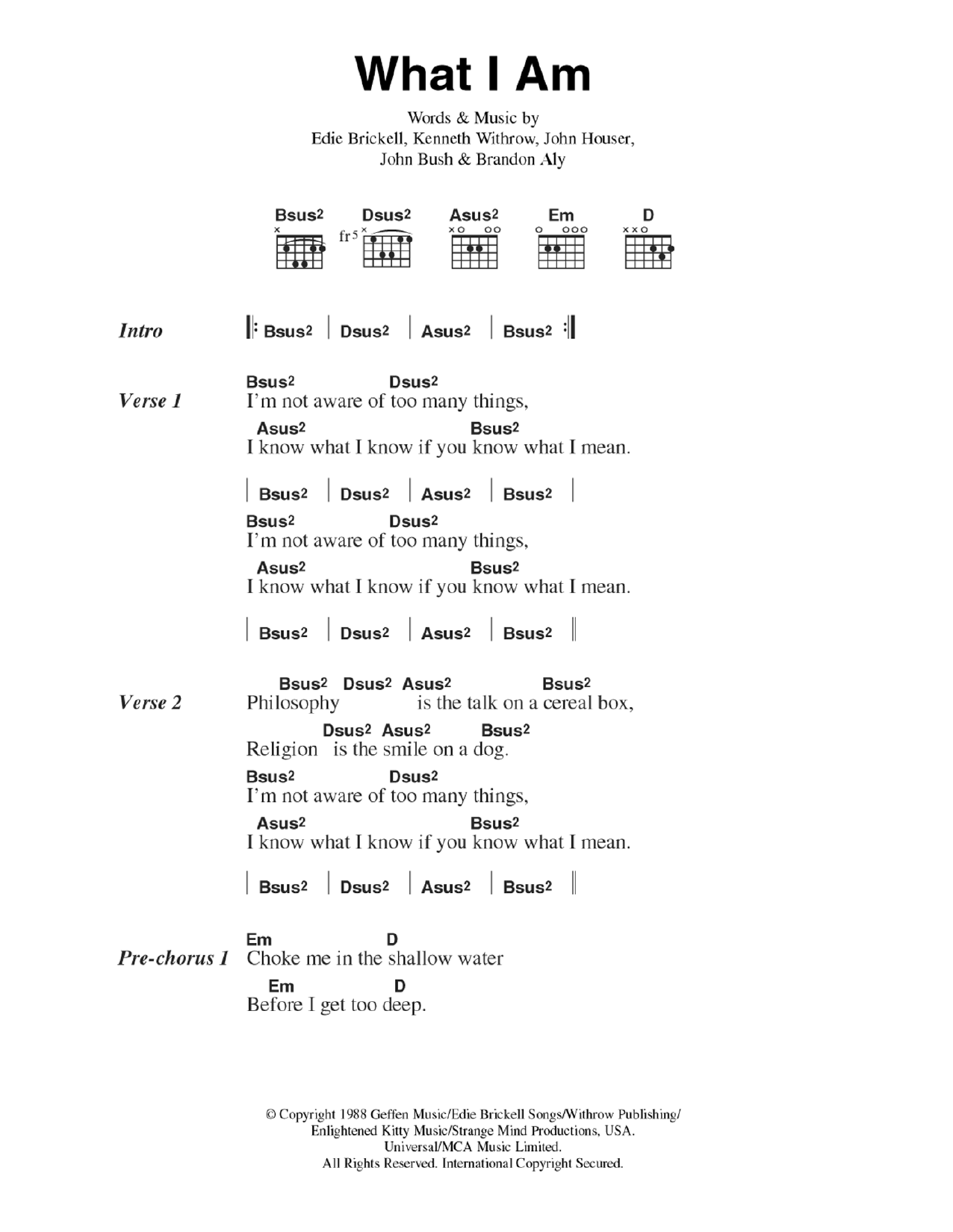 Download Edie Brickell What I Am Sheet Music and learn how to play Lyrics & Chords PDF digital score in minutes