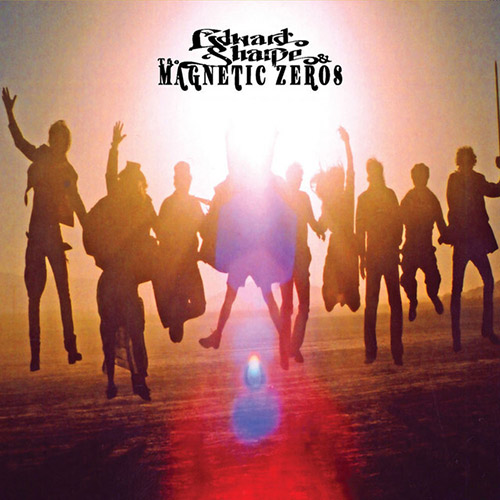 Edward Sharpe & the Magnetic Zeros album picture