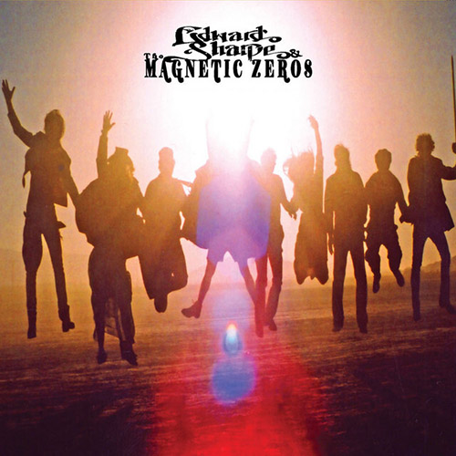 Edward Sharpe and the Magnetic Zeros album picture