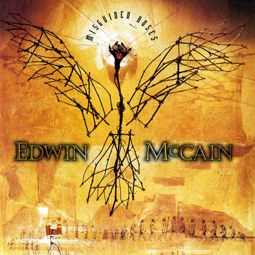 Edwin McCain album picture