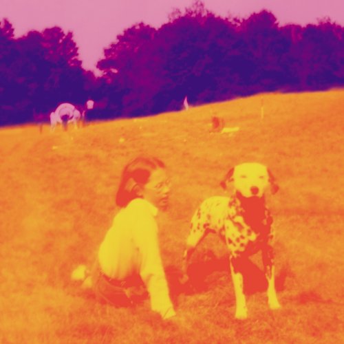 Eels album picture