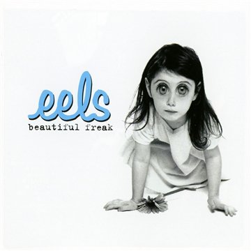 Eels album picture