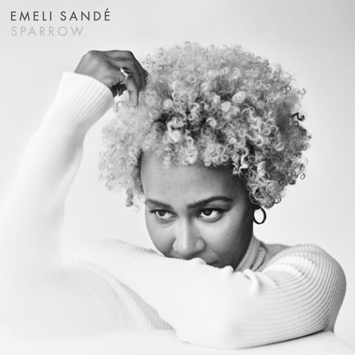 Emeli Sande album picture