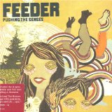 Download or print Feeder Pushing The Senses Sheet Music Printable PDF -page score for Rock / arranged Guitar Tab SKU: 31899.