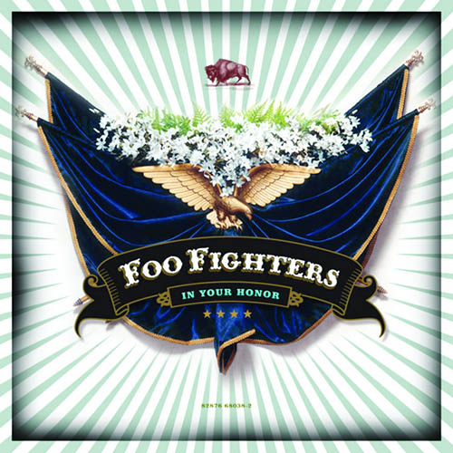 Foo Fighters album picture