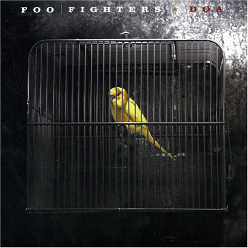 Foo Fighters album picture