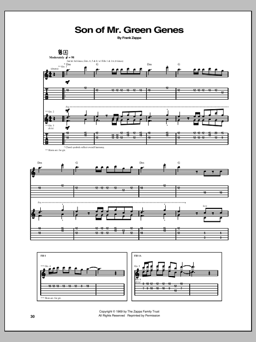 Download Frank Zappa Son Of Mr. Green Genes Sheet Music and learn how to play Guitar Tab PDF digital score in minutes