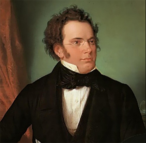 Franz Schubert album picture