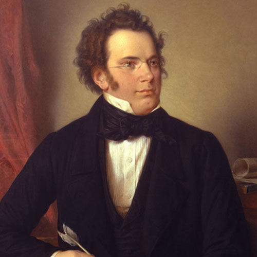 Franz Schubert album picture