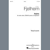 Download or print Frode Fjellheim Aejlies Sheet Music Printable PDF -page score for Concert / arranged SSA Choir SKU: 190849.