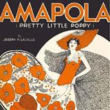 Download or print Joseph M. Lacalle Amapola (Pretty Little Poppy) Sheet Music Printable PDF -page score for Folk / arranged Accordion SKU: 158005.
