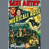 Download or print Gene Autry Mexicali Rose Sheet Music Printable PDF -page score for Jazz / arranged Piano, Vocal & Guitar (Right-Hand Melody) SKU: 30857.