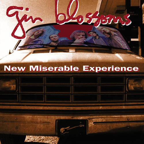 Gin Blossoms album picture