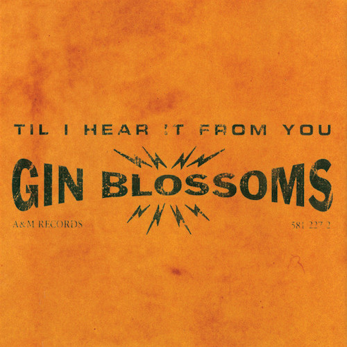 Gin Blossoms album picture