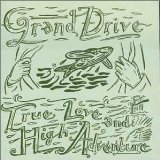 Download or print Grand Drive A Ladder To The Stars Sheet Music Printable PDF -page score for Country / arranged Lyrics & Chords SKU: 104606.