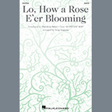 Download or print Greg Jasperse Lo, How A Rose E'er Blooming Sheet Music Printable PDF -page score for Concert / arranged Choir SKU: 1607689.