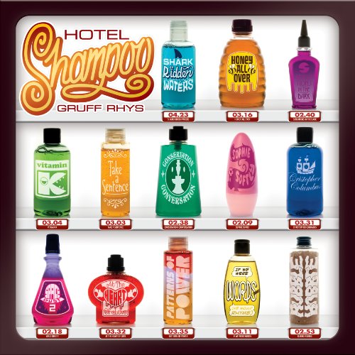 Gruff Rhys album picture