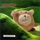 Guster album picture