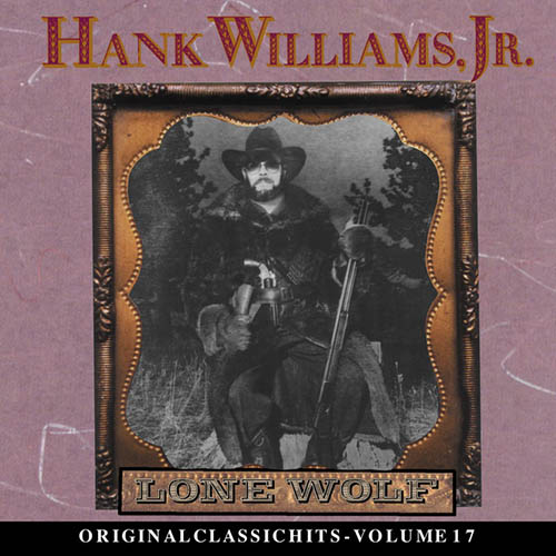Hank Williams Jr. album picture