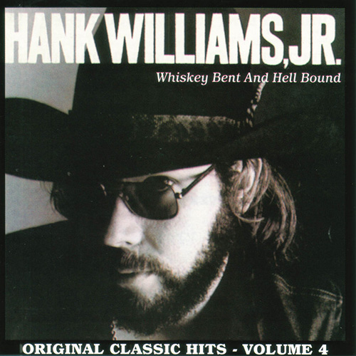 Hank Williams, Jr. album picture