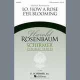 Download or print Harold Rosenbaum Lo, How A Rose E'er Blooming Sheet Music Printable PDF -page score for Concert / arranged SATB SKU: 97824.