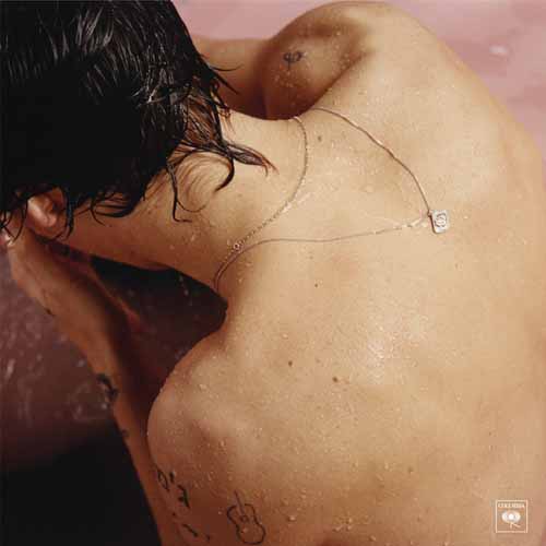 Harry Styles album picture