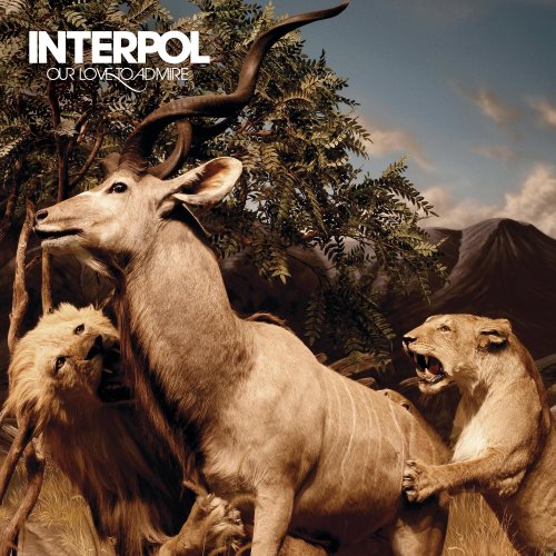 Interpol album picture