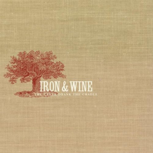 Iron & Wine album picture
