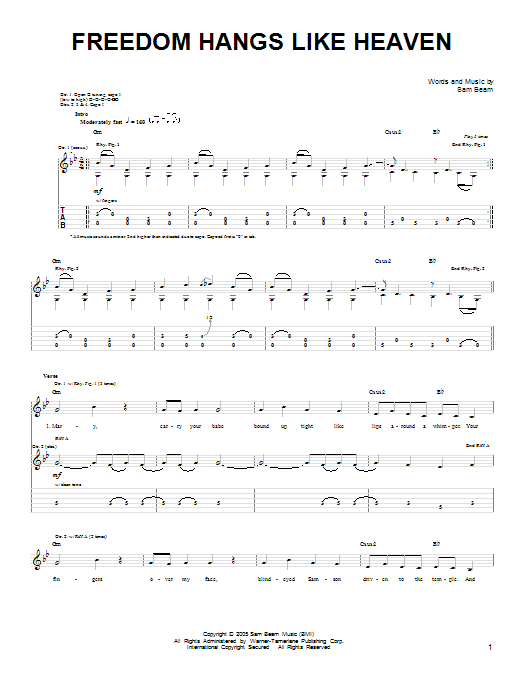 Download Iron & Wine Freedom Hangs Like Heaven Sheet Music and learn how to play Easy Guitar PDF digital score in minutes