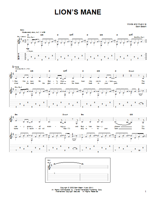 Download Iron & Wine Lion's Mane Sheet Music and learn how to play Easy Guitar PDF digital score in minutes