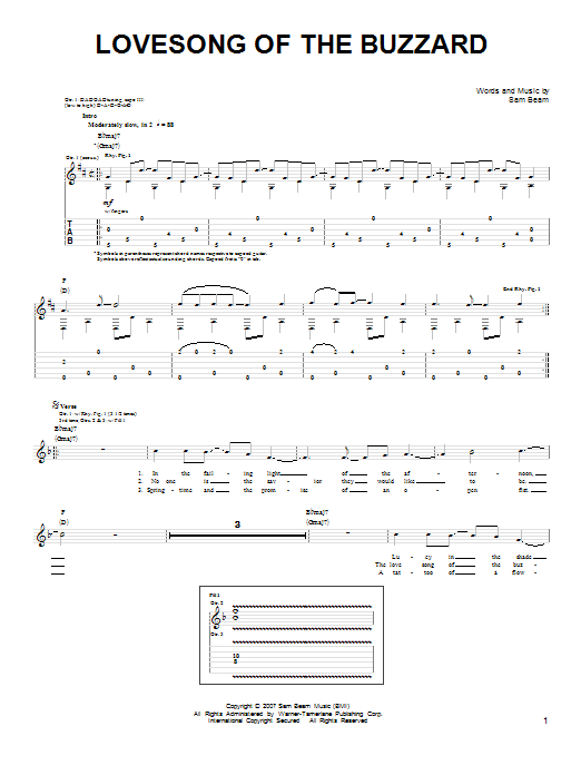 Download Iron & Wine Lovesong Of The Buzzard Sheet Music and learn how to play Easy Guitar PDF digital score in minutes